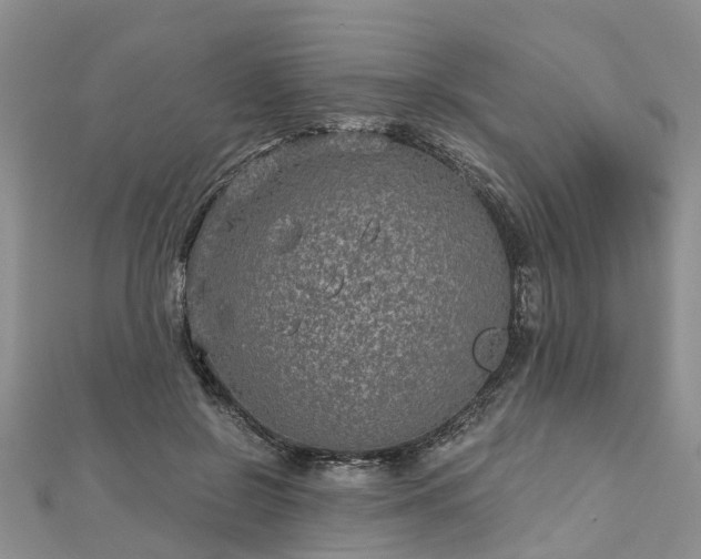 X0000112480550200908241257