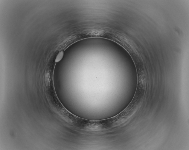 X0000112480551200908241257