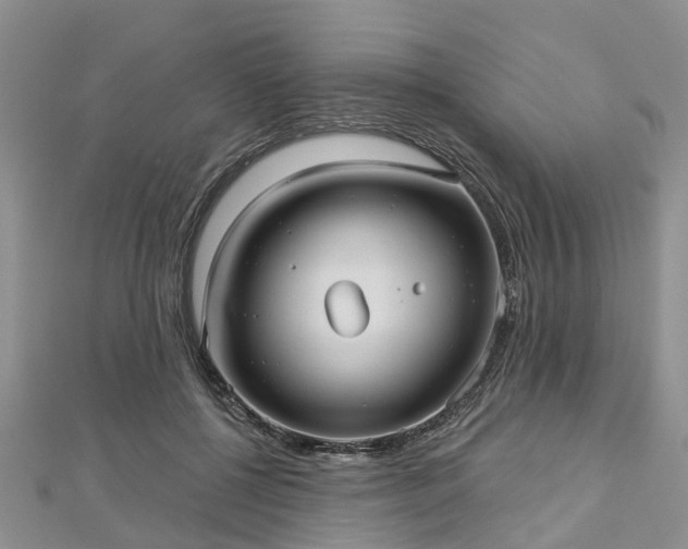 X0000112480552200908241257