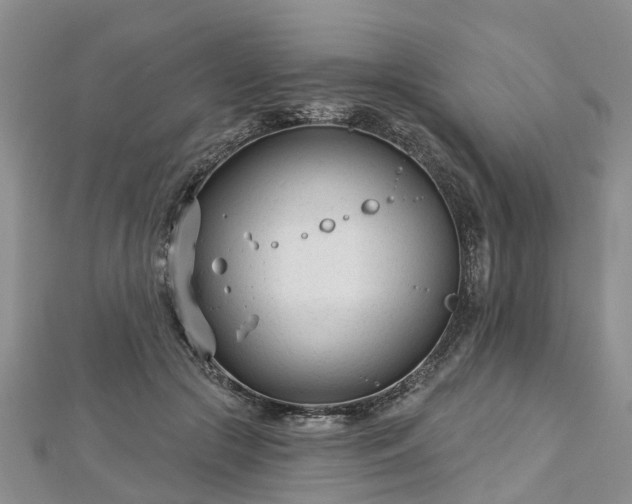 X0000112480553200908241257