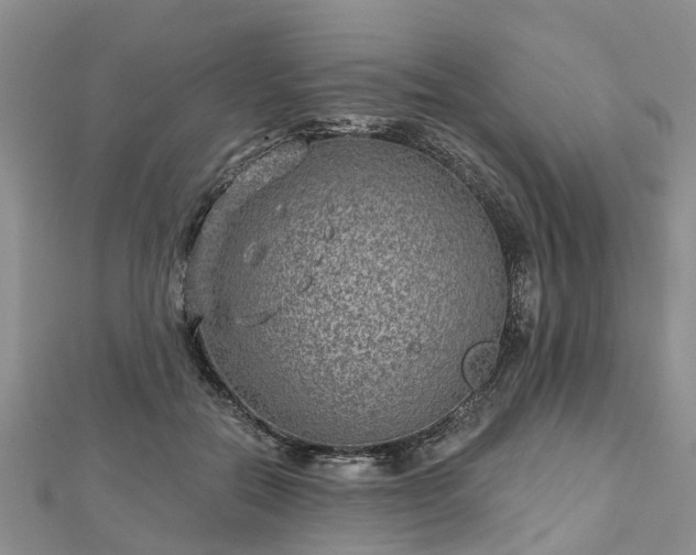 X0000112480554200908241257