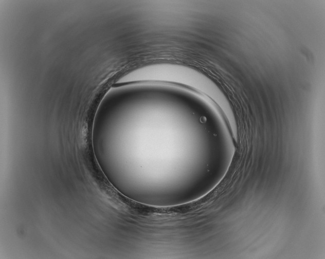 X0000112480556200908241257