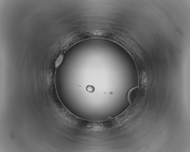 X0000112480559200908241257