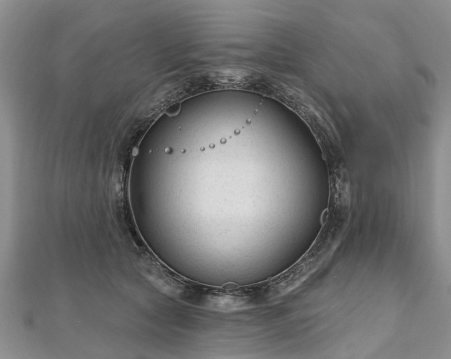 X0000112480561200908241257