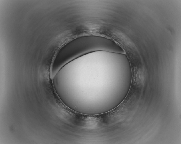 X0000112480562200908241257