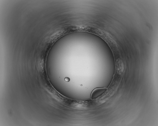 X0000112480563200908241257