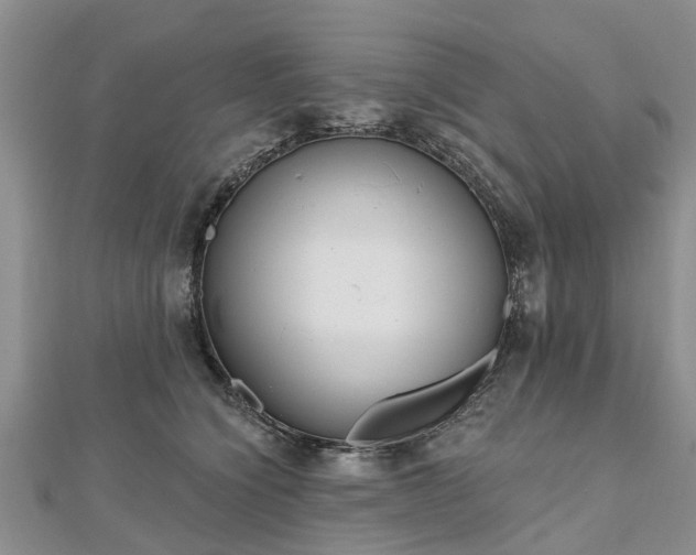 X0000112480564200908241257