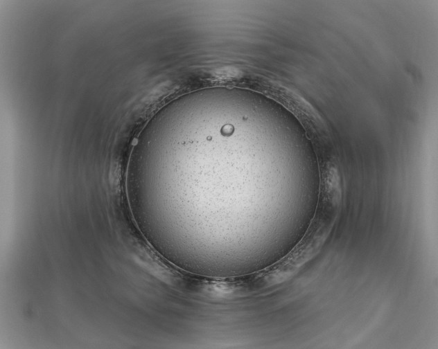 X0000112480565200908241257