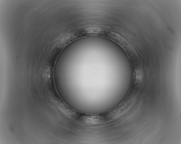 X0000112480567200908241257