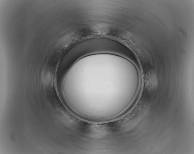 X0000112480568200908241257