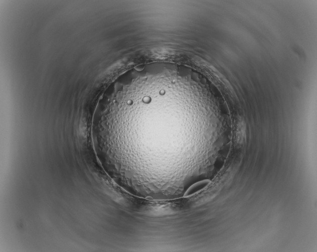 X0000112480569200908241257