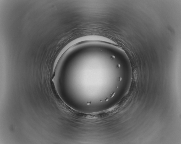 X0000112480570200908241257