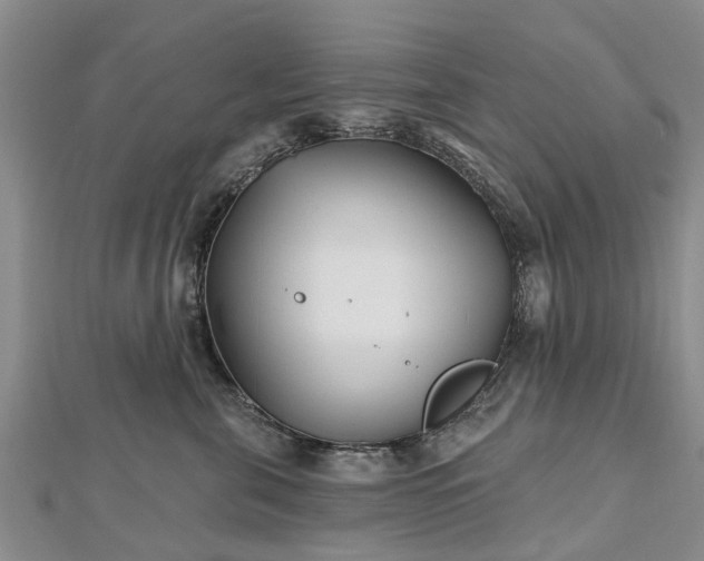 X0000112480571200908241257