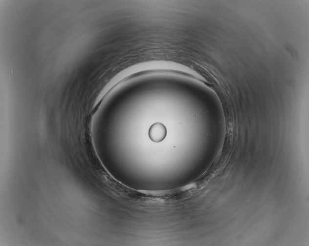 X0000112480572200908241257