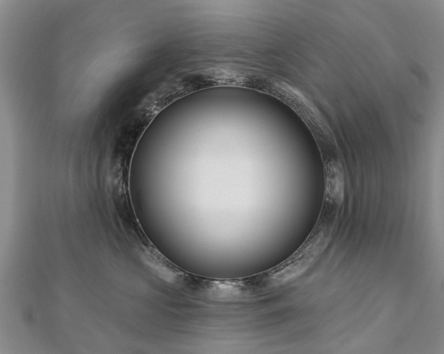 X0000112480573200908241257