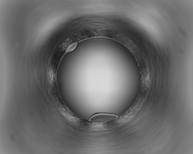 X0000112480574200908241257