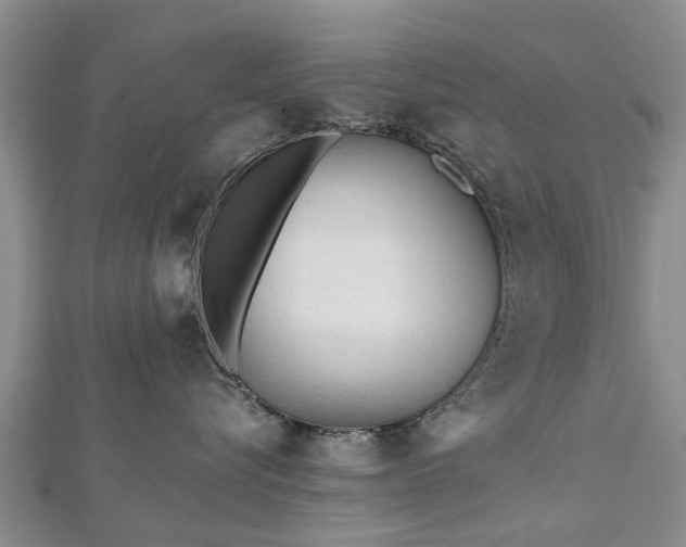 X0000112480576200908241257