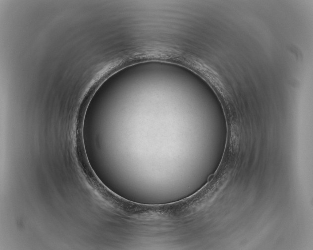 X0000112480578200908241256