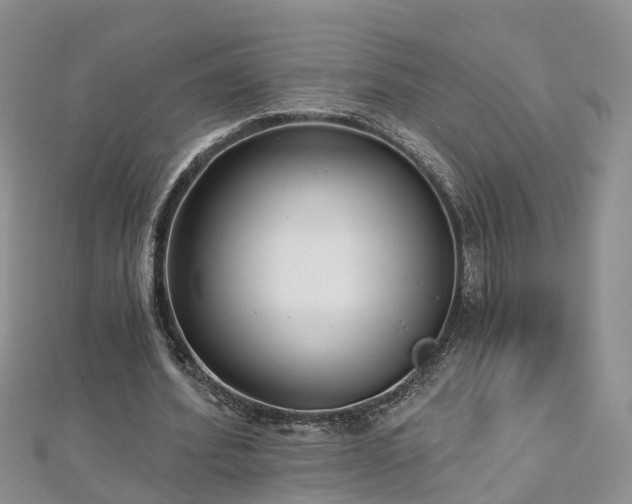 X0000112480580200908241256