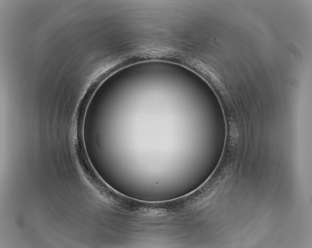 X0000112480582200908241256