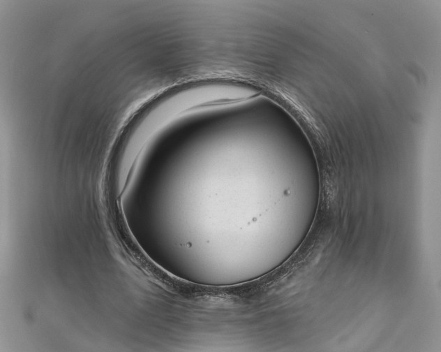 X0000112480583200908241256