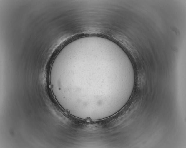 X0000112480584200908241256