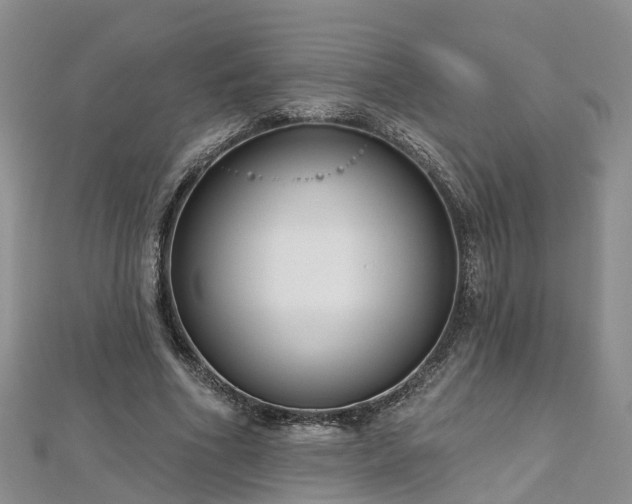 X0000112480586200908241256