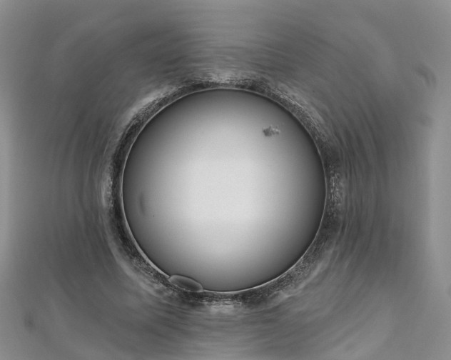 X0000112480587200908241256