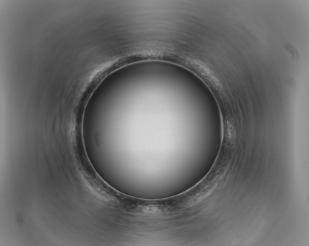 X0000112480588200908241256