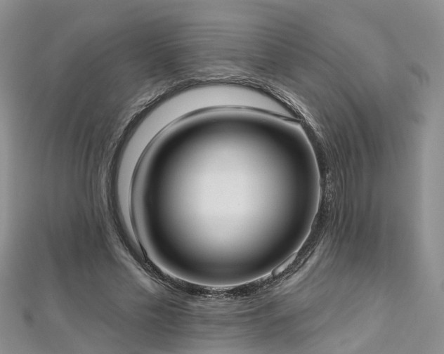 X0000112480589200908241256