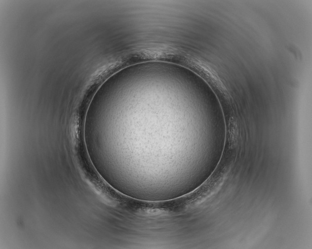 X0000112480590200908241256