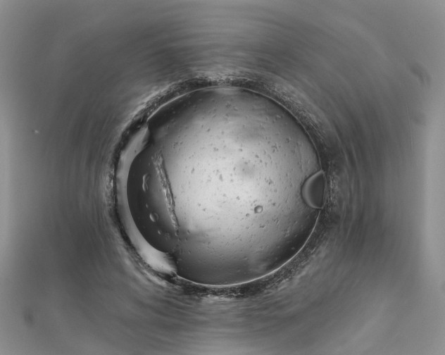 X0000112480592200908241256