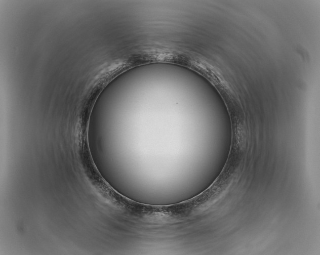 X0000112480594200908241256