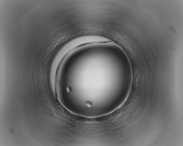 X0000112480595200908241256