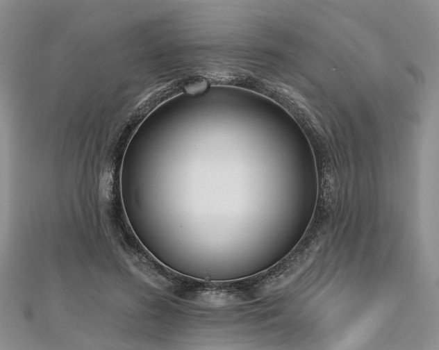 X0000112480596200908241256