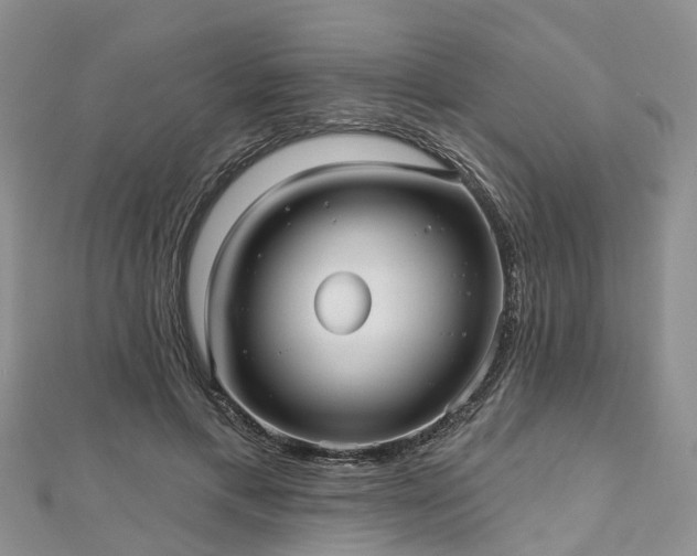 X0000112480597200908241256