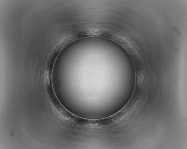 X0000112480598200908241256