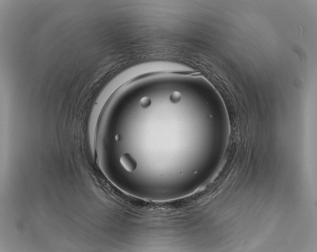 X0000112480599200908241256