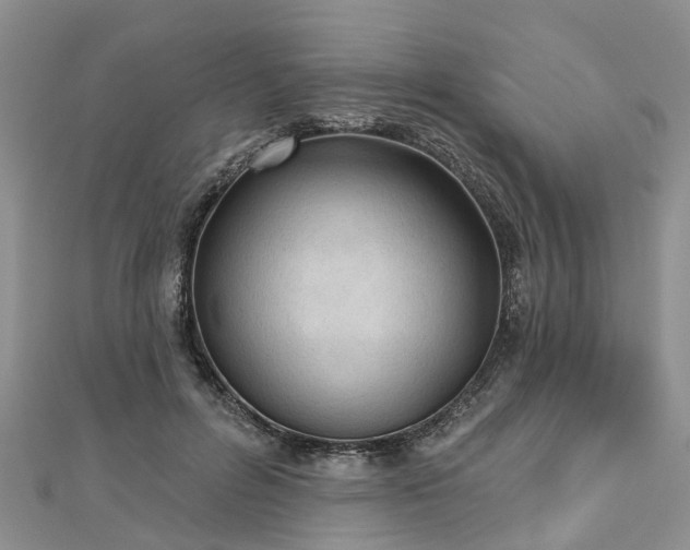 X0000112480600200908241256