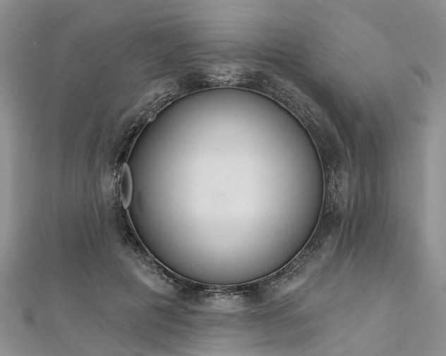 X0000112480601200908241256