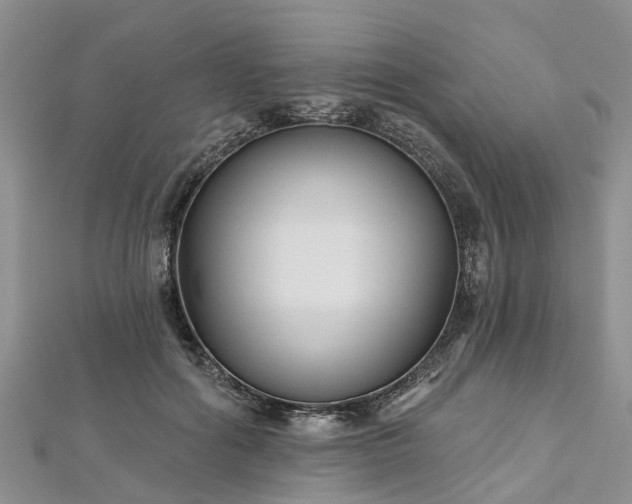 X0000112480602200908241256