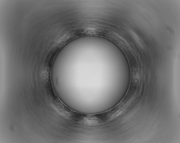 X0000112480603200908241256