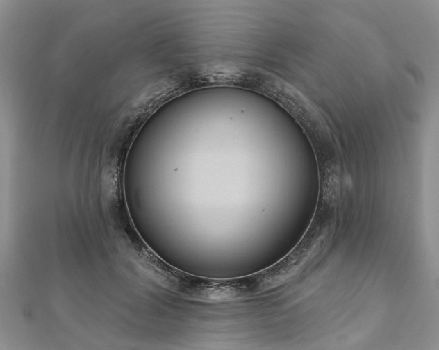 X0000112480604200908241256