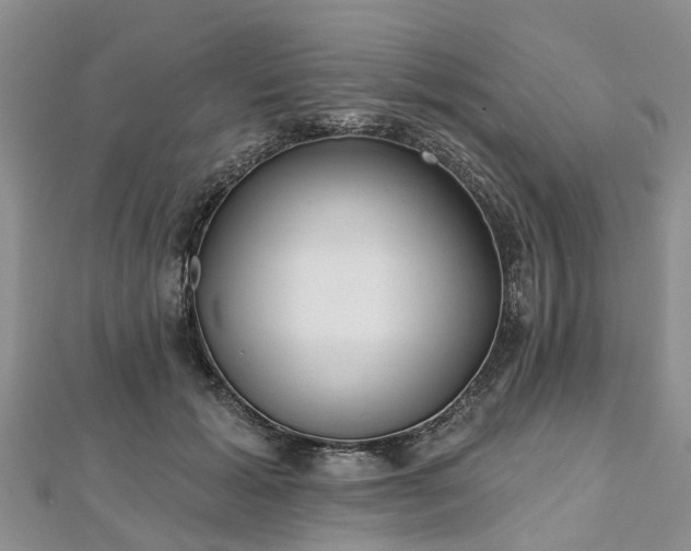 X0000112480605200908241256