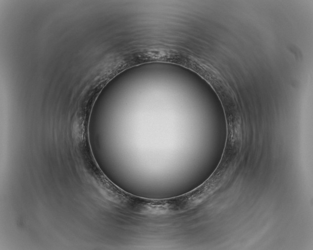 X0000112480606200908241256