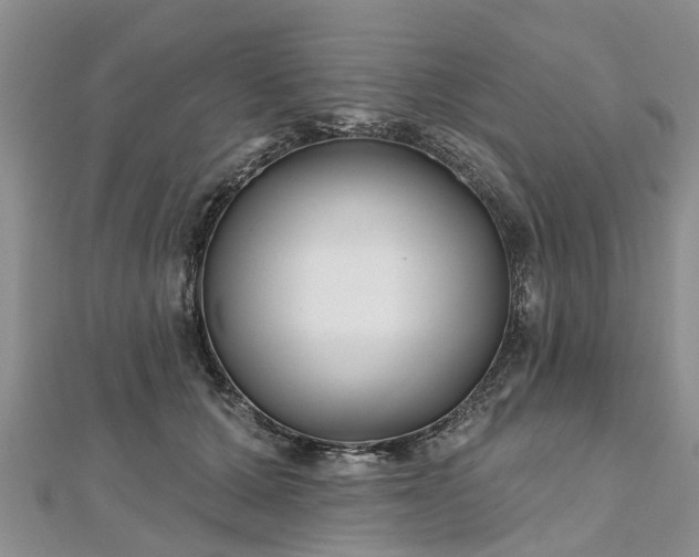 X0000112480607200908241256