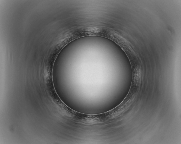 X0000112480608200908241256