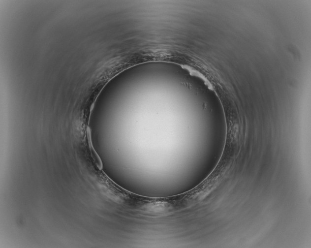 X0000112480609200908241256