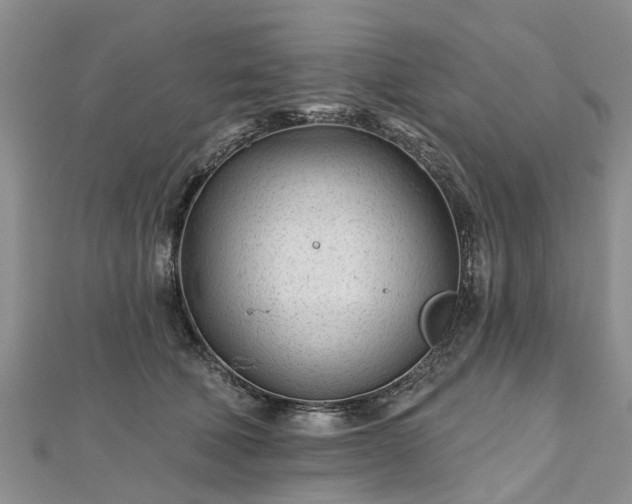 X0000112480610200908241256