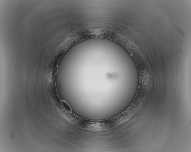 X0000112480611200908241256